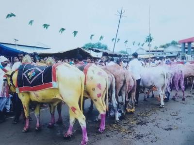 Whatsapp Image 2026 03 23 At 4.01.42 Pm 1