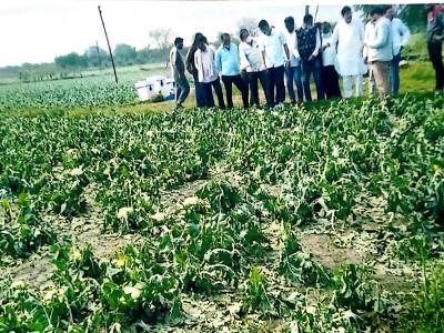 Whatsapp Image 2026 03 23 At 4.00.59 Pm