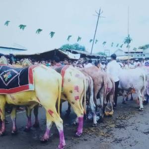 WhatsApp_Image_2026-03-23_at_4.01.42_PM_1_original